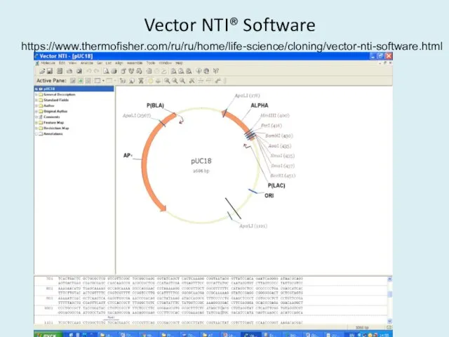 Vector NTI® Software https://www.thermofisher.com/ru/ru/home/life-science/cloning/vector-nti-software.html