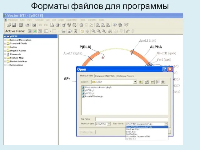 Форматы файлов для программы