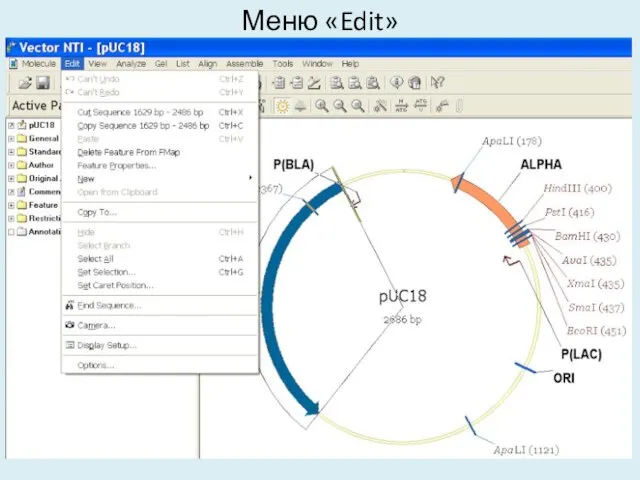 Меню «Edit»