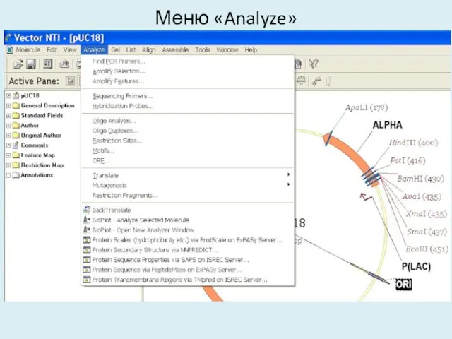 Меню «Analyze»