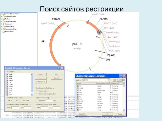 Поиск сайтов рестрикции