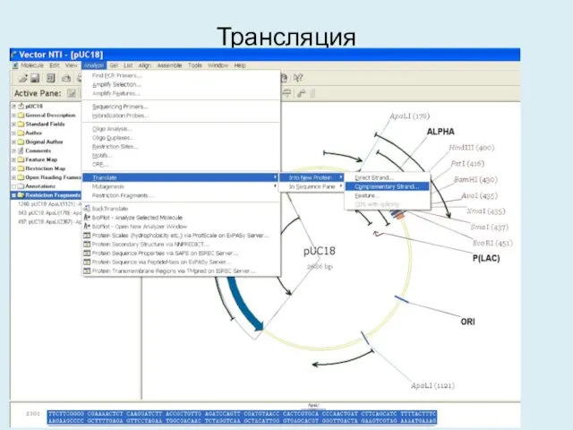 Трансляция