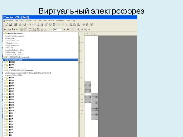 Виртуальный электрофорез