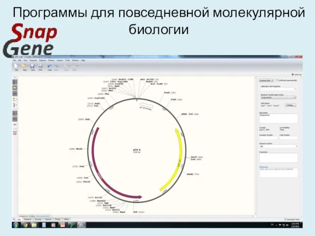 Программы для повседневной молекулярной биологии