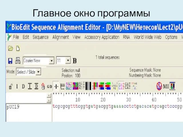 Главное окно программы