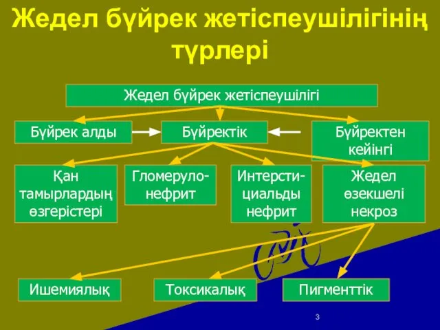 Жедел бүйрек жетіспеушілігінің түрлері Жедел бүйрек жетіспеушілігі Бүйрек алды Бүйректік Бүйректен