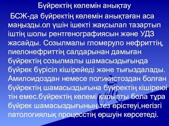 Бүйректің көлемін анықтау БСЖ-да бүйректің көлемін анықтаған аса маңызды.ол үшін ішекті