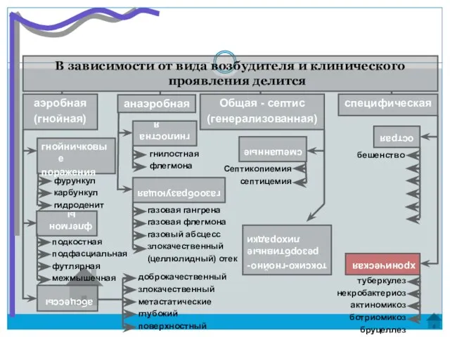 В зависимости от вида возбудителя и клинического проявления делится гнойничковые поражения