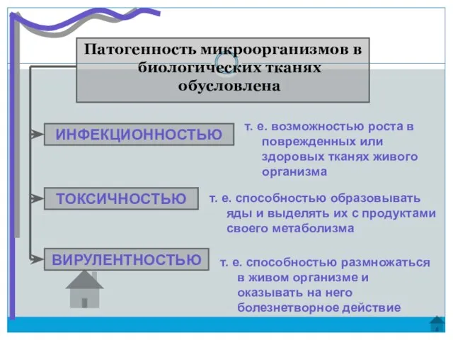 Патогенность микроорганизмов в биологических тканях обусловлена ИНФЕКЦИОННОСТЬЮ ТОКСИЧНОСТЬЮ ВИРУЛЕНТНОСТЬЮ т. е.