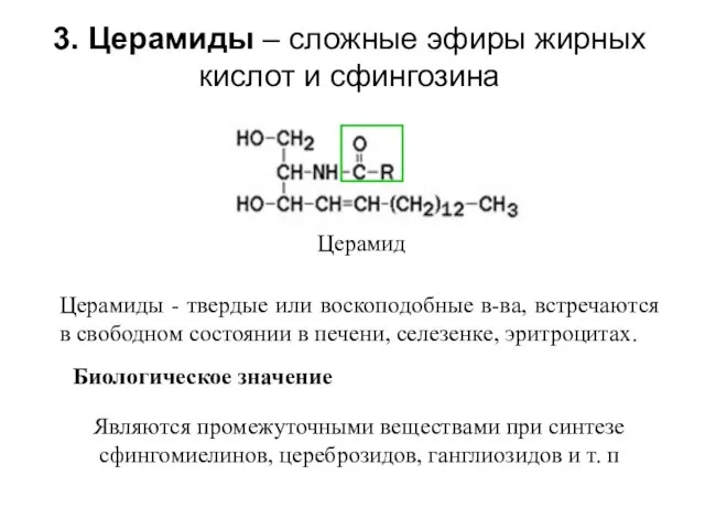 3. Церамиды – сложные эфиры жирных кислот и сфингозина Церамиды -