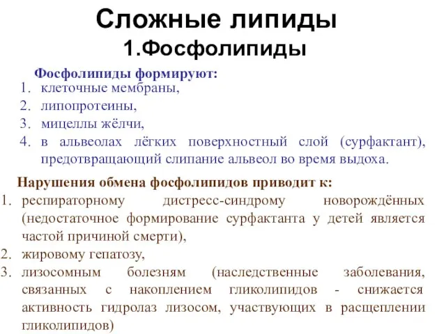 Сложные липиды клеточные мембраны, липопротеины, мицеллы жёлчи, в альвеолах лёгких поверхностный