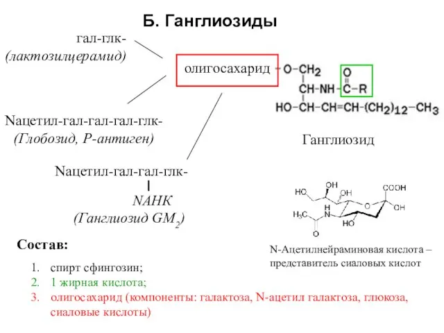 спирт сфингозин; 1 жирная кислота; олигосахарид (компоненты: галактоза, N-ацетил галактоза, глюкоза,