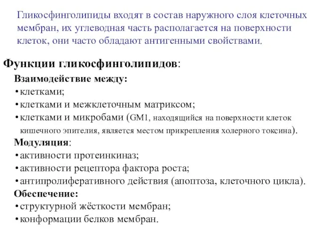 Взаимодействие между: клетками; клетками и межклеточным матриксом; клетками и микробами (GM1,