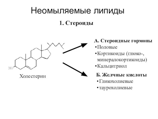 Неомыляемые липиды Холестерин 1. Стероиды А. Стероидные гормоны Половые Кортикоиды (глюко-,