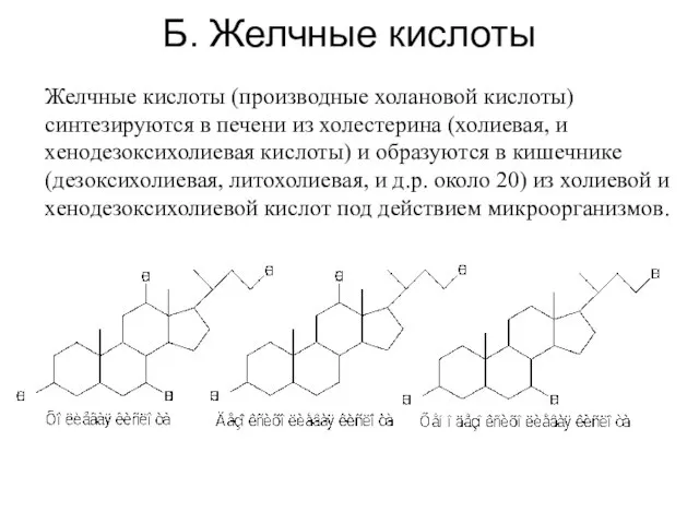 Б. Желчные кислоты Желчные кислоты (производные холановой кислоты) синтезируются в печени