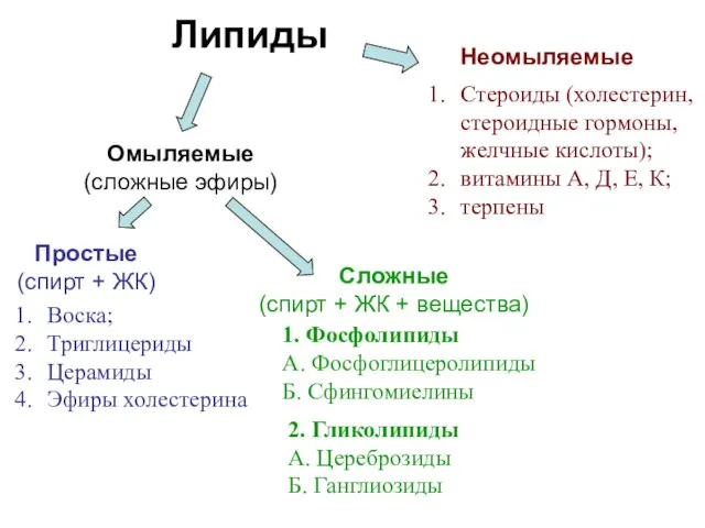 Липиды Омыляемые (сложные эфиры) Неомыляемые Простые (спирт + ЖК) Сложные (спирт