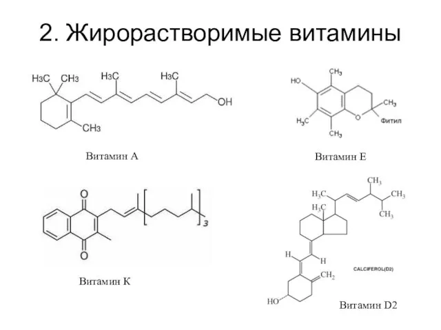 2. Жирорастворимые витамины Витамин Е Витамин А Витамин К Витамин D2