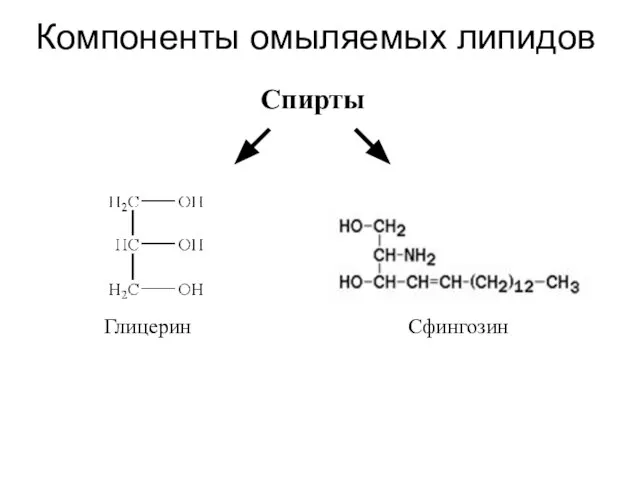 Компоненты омыляемых липидов Спирты Сфингозин Глицерин