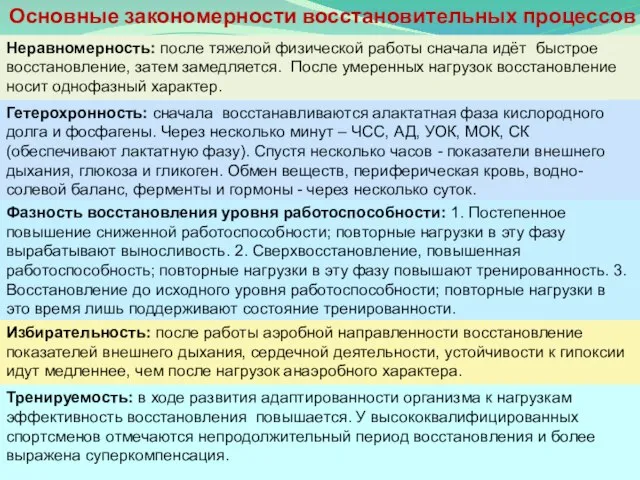 Основные закономерности восстановительных процессов Неравномерность: после тяжелой физической работы сначала идёт