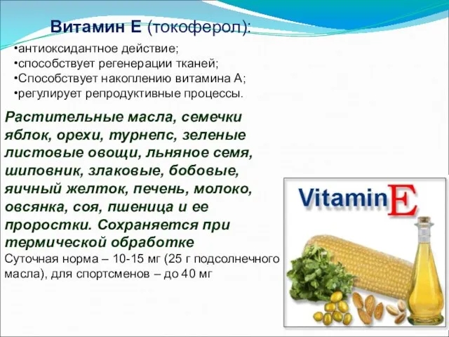 Витамин Е (токоферол): антиоксидантное действие; способствует регенерации тканей; Способствует накоплению витамина