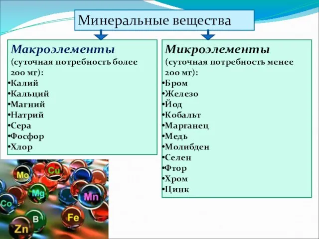 Минеральные вещества Макроэлементы (суточная потребность более 200 мг): Калий Кальций Магний