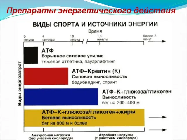 Препараты энергетического действия