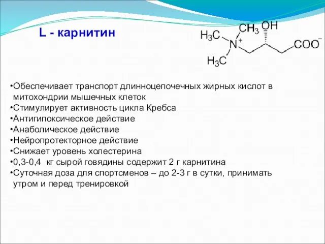 L - карнитин Обеспечивает транспорт длинноцепочечных жирных кислот в митохондрии мышечных