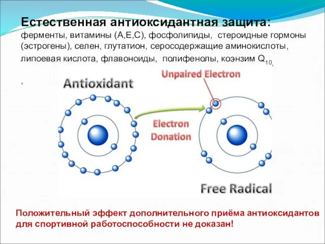 Естественная антиоксидантная защита: ферменты, витамины (А,Е,С), фосфолипиды, стероидные гормоны (эстрогены), селен,