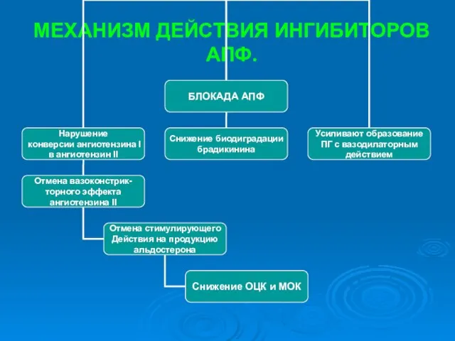 МЕХАНИЗМ ДЕЙСТВИЯ ИНГИБИТОРОВ АПФ.