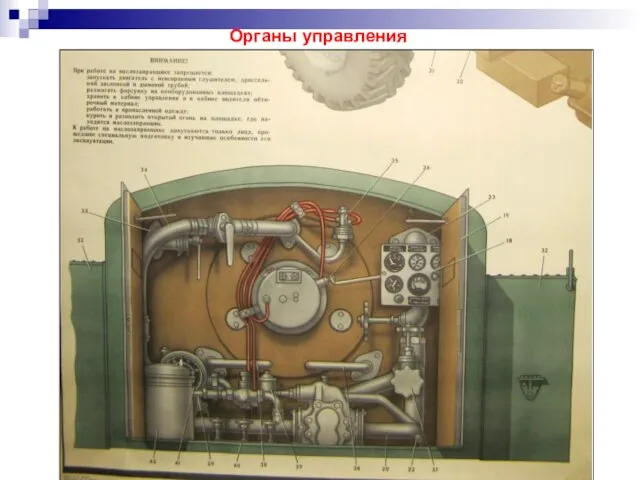 Органы управления