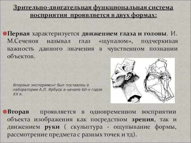 Зрительно-двигательная функциональная система восприятия проявляется в двух формах: Первая характеризуется движением