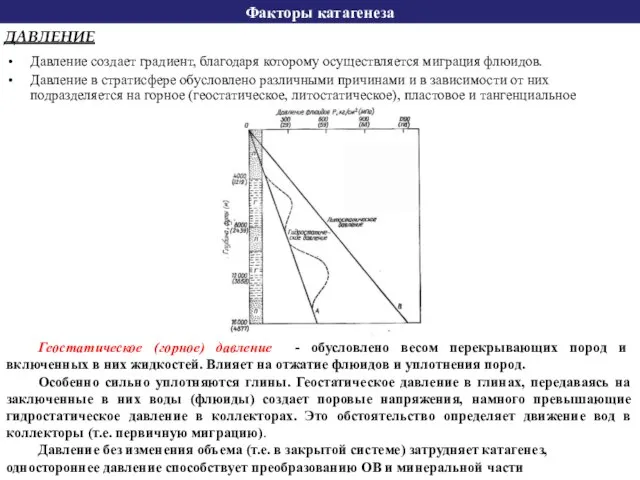 Факторы катагенеза Давление создает градиент, благодаря которому осуществляется миграция флюидов. Давление