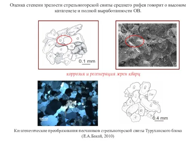 Оценка степени зрелости стрельногорской свиты среднего рифея говорит о высоком катагенезе