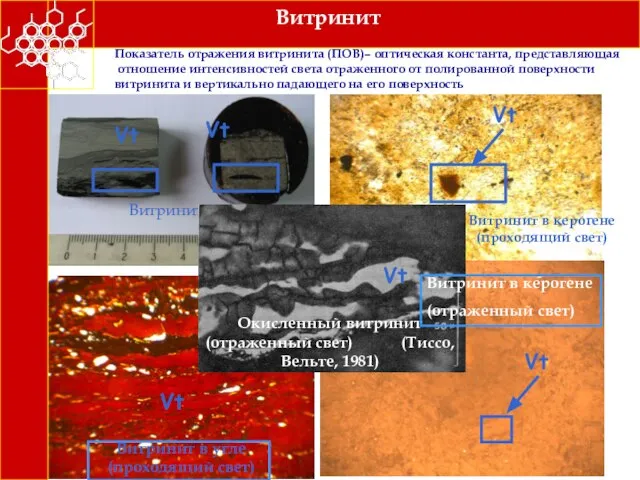 Vt Vt Витринит в угле Vt Vt Витринит в угле (проходящий