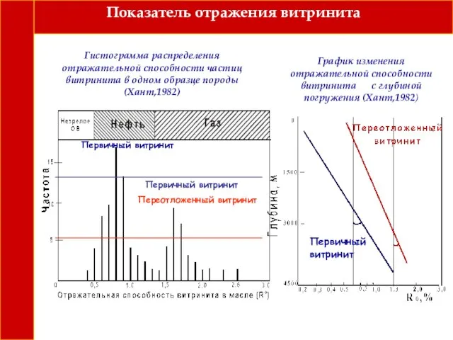 Показатель отражения витринита Гистограмма распределения отражательной способности частиц витринита в одном