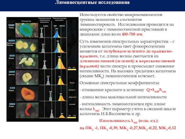 Люминесцентные исследования Используется свойство микрокомпонентов группы экзинитов и альгинитов люминесцировать. Исследования