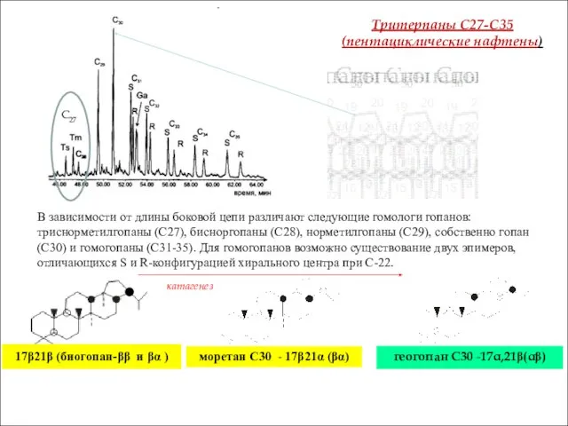 моретан С30 - 17β21α (βα) геогопан С30 -17α,21β(αβ) Тритерпаны С27-С35 (пентациклические