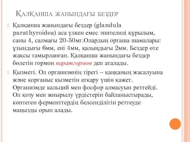 Қалқанша жанындағы бездер Қалқанша жанындағы бездер (glandula parathyroidea) аса үлкен емес