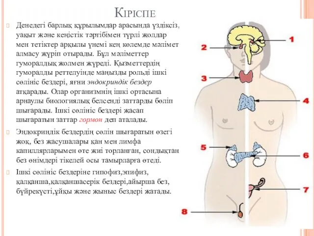 Кіріспе Денедегі барлық құрылымдар арасында үздіксіз, уақыт және кеңістік тәртібімен түрлі