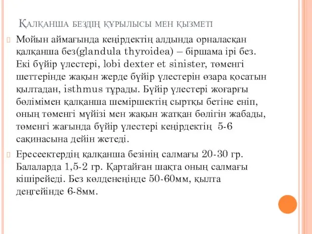 Қалқанша бездің құрылысы мен қызметі Мойын аймағында кеңірдектің алдында орналасқан қалқанша