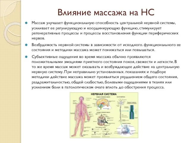 Влияние массажа на НС Массаж улучшает функциональную способность центральной нервной системы,