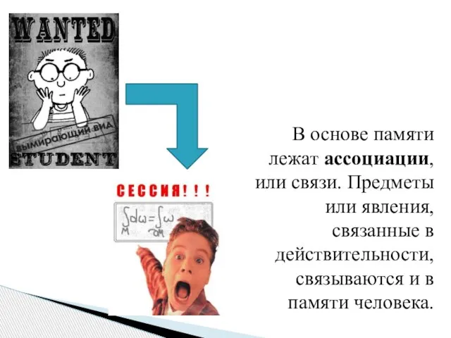 В основе памяти лежат ассоциации, или связи. Предметы или явления, связанные