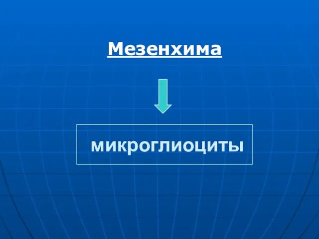 микроглиоциты Мезенхима