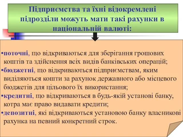 Підприємства та їхні відокремлені підрозділи можуть мати такі рахунки в національній