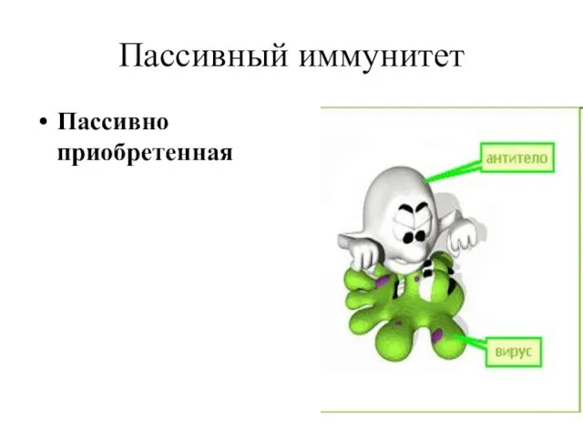 Пассивный иммунитет Пассивно приобретенная