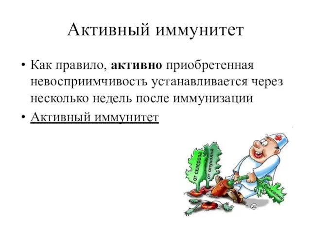 Активный иммунитет Как правило, активно приобретенная невосприимчивость устанавливается через несколько недель после иммунизации Активный иммунитет