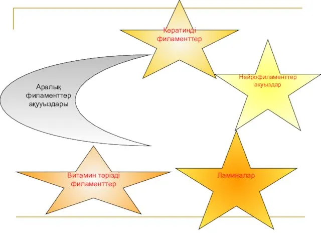 Аралық филаменттер ақууыздары Нейрофиламенттер ақуыздар Кератинді филаменттер Витамин тәрізді филаменттер Ламиналар