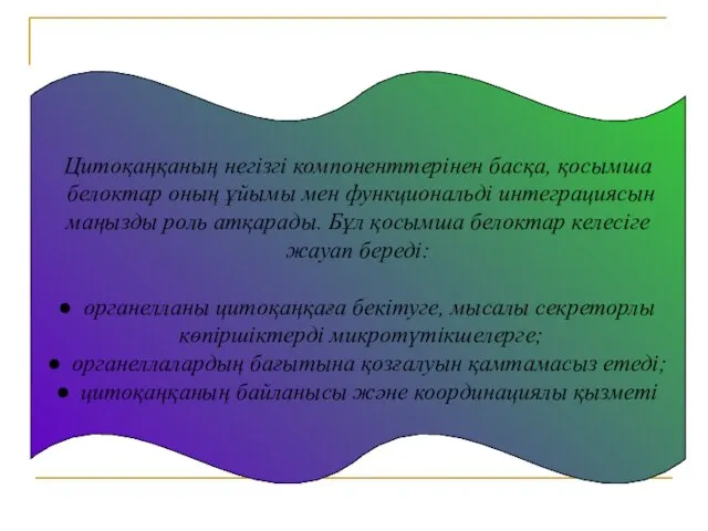 Цитоқаңқаның негізгі компоненттерінен басқа, қосымша белоктар оның ұйымы мен функциональді интеграциясын