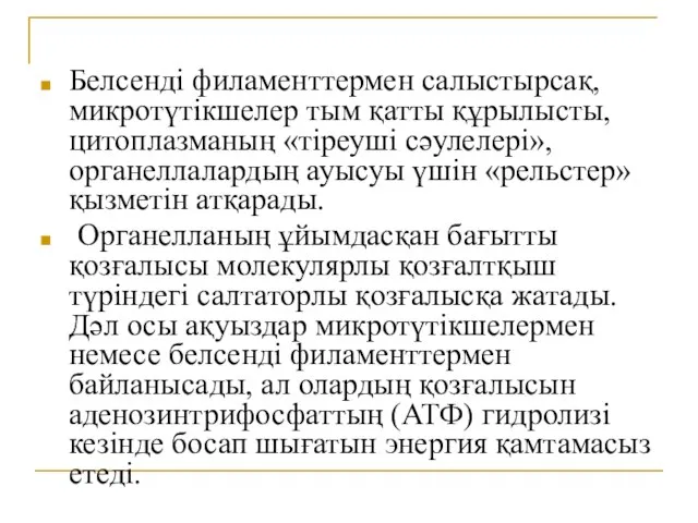 Белсенді филаменттермен салыстырсақ, микротүтікшелер тым қатты құрылысты, цитоплазманың «тіреуші сәулелері», органеллалардың