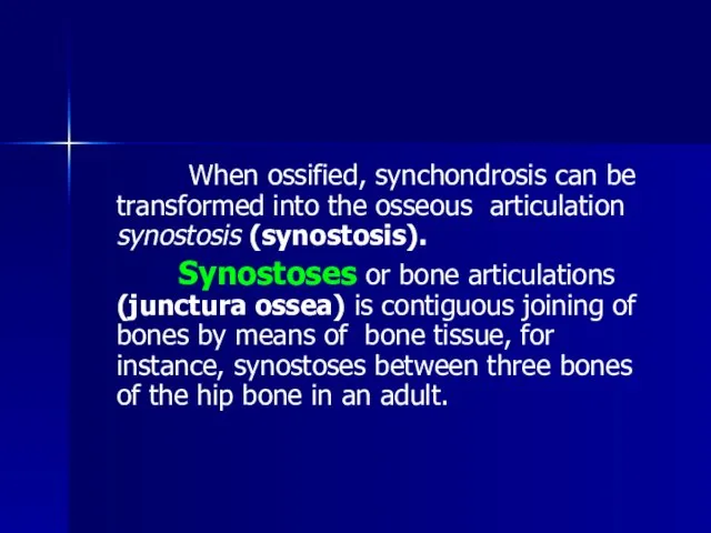 When ossified, synchondrosis can be transformed into the osseous articulation synostosis